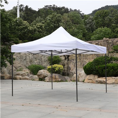 Namiot z baldachimem 10x10